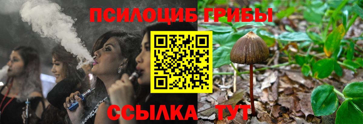 Галлюциногенные грибы Magic Shrooms  Псилоцибиновые грибы мицелий  Вход с VPN  Шатура 